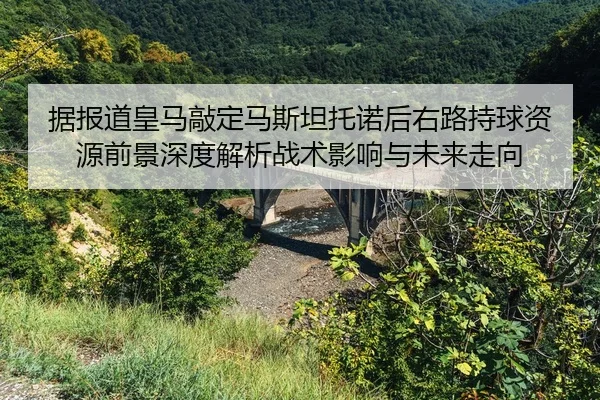 ju-bao-dao-huang-ma-qiao-ding-ma-si-tan-tuo-nuo-hou-you-lu-chi-qiu-zi-yuan-qian-jing-shen-du-jie-xi-zhan-shu-ying-xiang-2-601.jpg